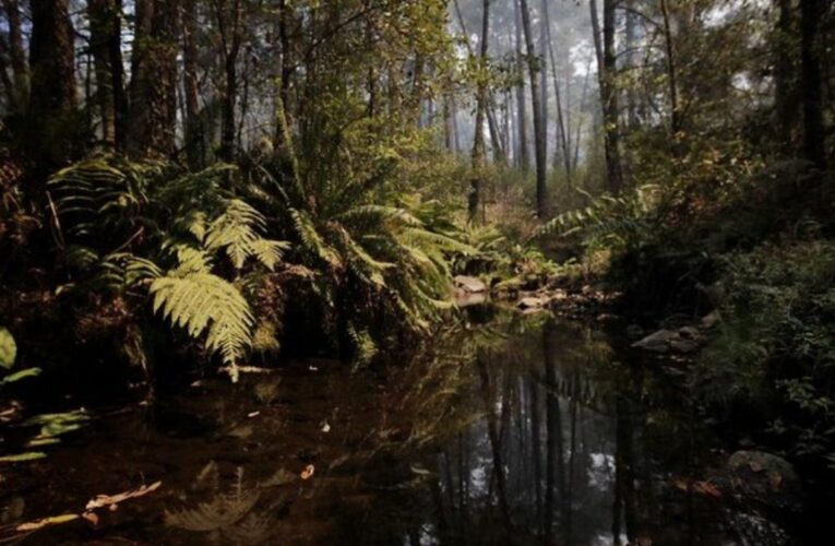 ¡De las palabras a la acción! El PRI Jalisco presenta su estrategia para “sembrar vida” en el estado