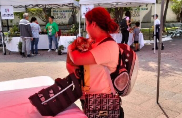 Éxito total en el ‘Bazarito PRI’ de Santa María del Pueblito: PRI Jalisco demuestra trabajo a ras de suelo y apoyo al comercio local