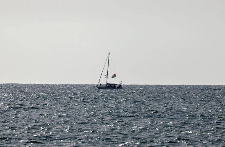 Activistas españoles de la flotilla denuncian torturas y exigen el regreso de compañera