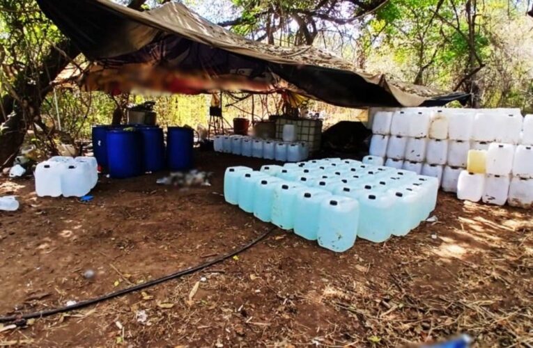 Aseguran drogas y sustancias químicas en Sinaloa con valor de 756 mdp