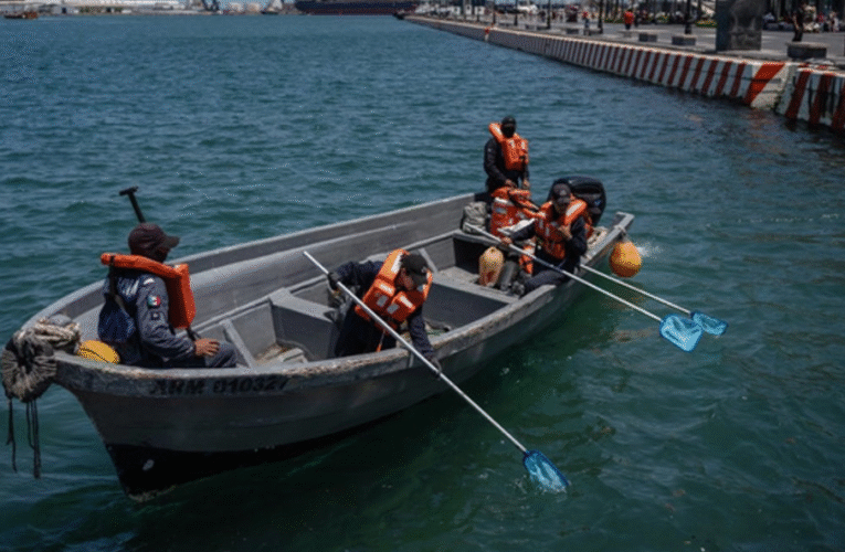 Derrame en el Golfo de México cumple casi un mes sin que se determine su origen