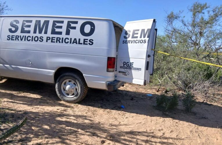 Llamada anónima revela fosa clandestina en BCS; hallan cuerpos y restos humanos