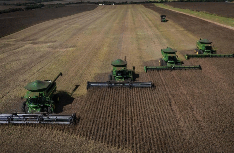 Alerta global: conflicto en Oriente Medio podría disparar el precio de los alimentos, advierte la FAO